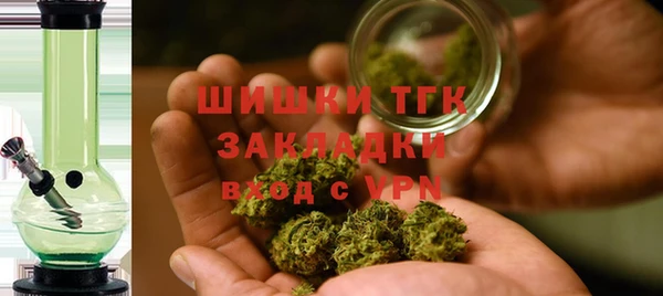 сатива Медногорск