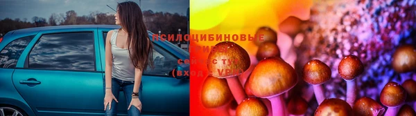 мяу мяу мука Михайловск