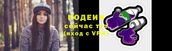 ПСИЛОЦИБИНОВЫЕ ГРИБЫ Вяземский