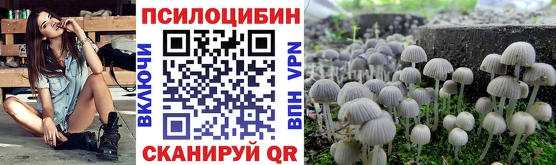купить наркотики сайты  Разумное  Псилоцибиновые грибы GOLDEN TEACHER 